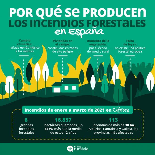 Los Incendios Forestales En España, Un Peligro Para La Naturaleza ...