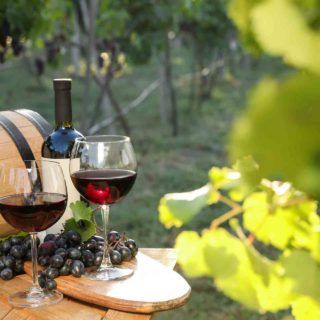 Hablemos del del vino español: ¿influye el clima en su sabor?