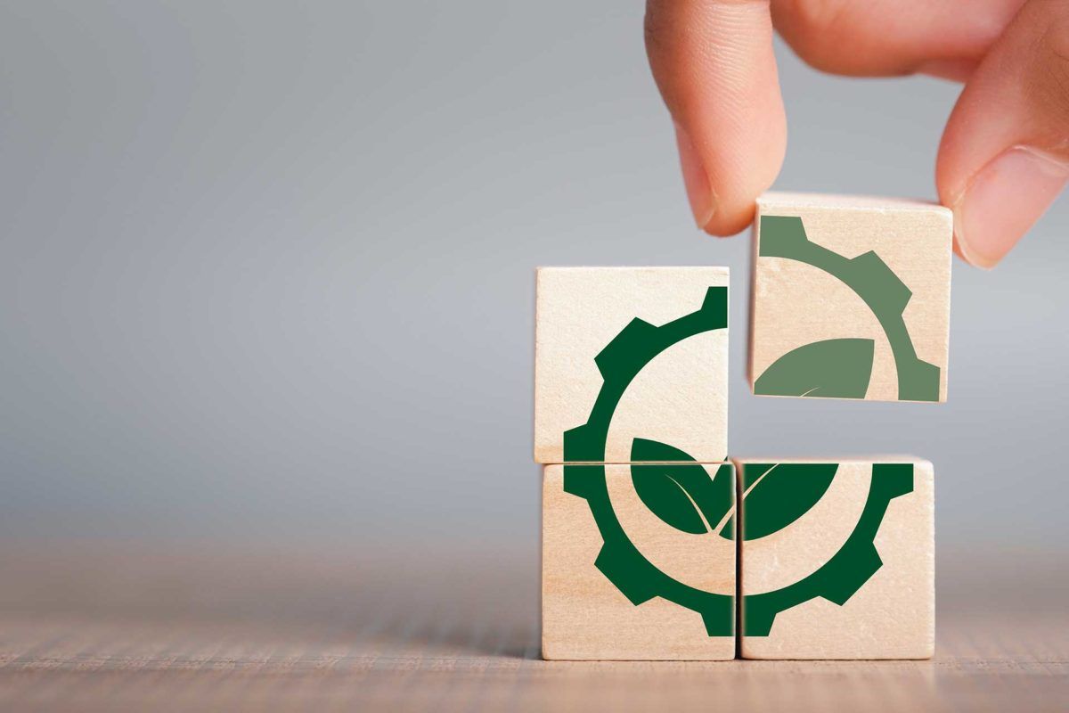 ¿Qué es el Greenwashing? Claves para reconocer el falso ecologismo en las empresas