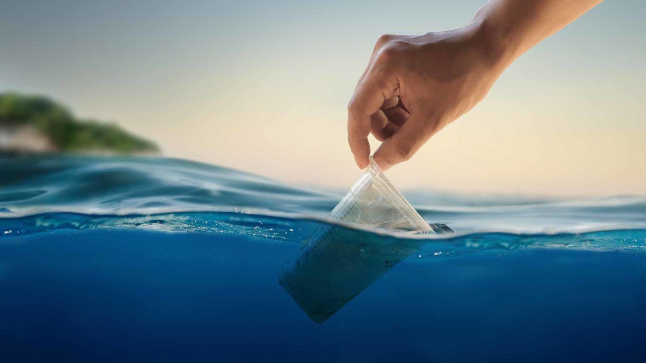 El día mundial del agua: las consecuencias de la presencia de plástico en el mar
