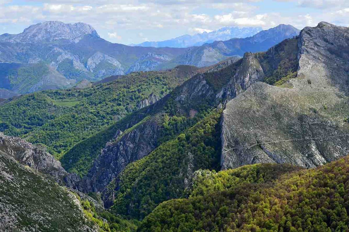 Evaluación del sistema de gestión de parques naturales en España: logros y desafíos