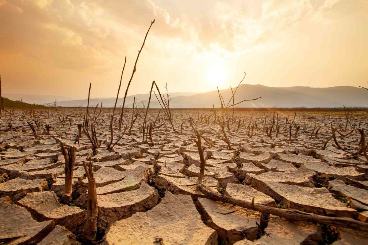 Cómo las sequías y los aumentos de temperatura afectan a la producción de alimentos y su precio