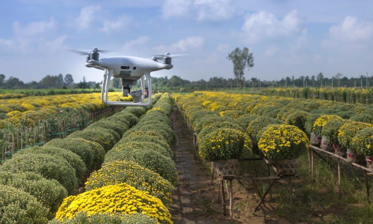 Avances en Tecnología Agrícola: innovación para una Agricultura Sostenible